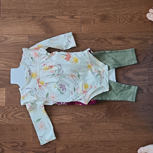 Carter's Girls Outfits - BNWT - Striped, Butterfly & Flowers Design - 9 Months - Picture 4 of 7